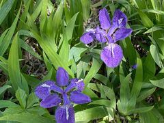 -山东大学(兴隆山校区)