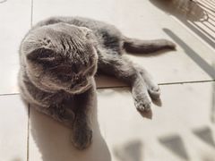 -平行世界·猫咖(首经贸店)
