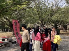 -威远炮台