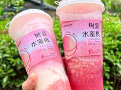 -树夏(建设路店)