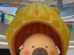 -首开·龙湖成都西宸天街