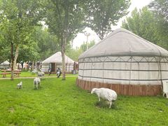 -九十九顶毡房(阜石路店)