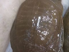 -岳各庄批发市场(西四环中路店)