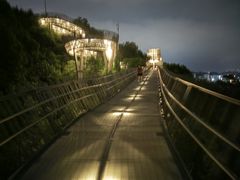 -福道