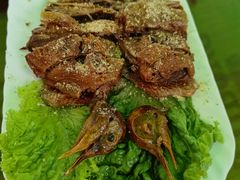 -天羽烤乳鸽店(财大家属院店)