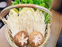 -同仁四季椰子鸡(无锡滨湖万象汇店)