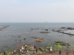 -青岛第二海水浴场