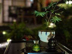 -普陀山雷迪森庄园