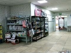 -宠颐生贝利健动物医院(谢家湾分院)