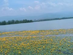 -西昌邛海湿地
