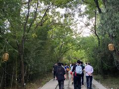 -淄博聊斋城景区