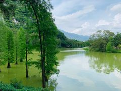 -星湖旅游景区七星岩