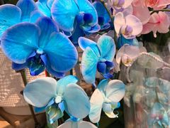 -凯德广场(西城店)