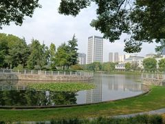 -后襄河公园