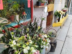 -小洲村