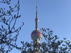 -东方明珠广播电视塔