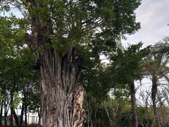 -深圳大学(丽湖校区)