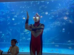 -邯郸海洋世界