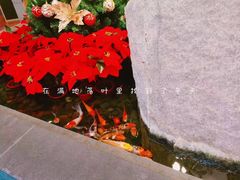 -上海外滩英迪格酒店