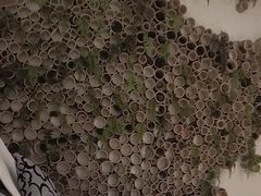 -麦子MaiMassage(打浦桥店)