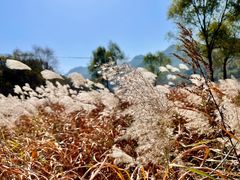 -玉渡山自然风景区