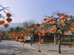 -香山公园