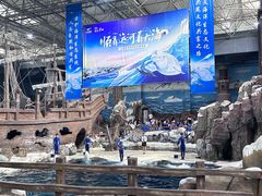 -杭州长乔极地海洋公园