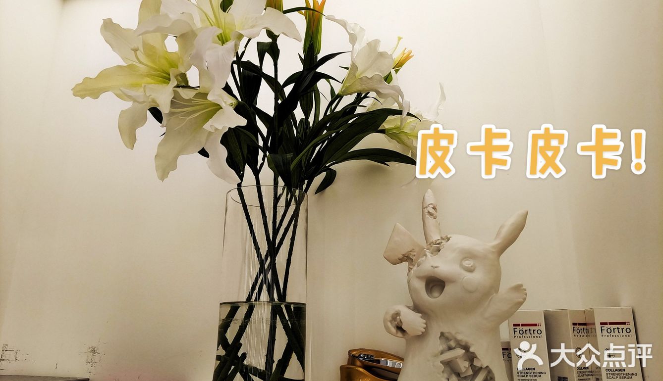 成都 ｜ 烫染 ｜理发