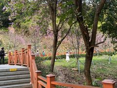 -小南山公园