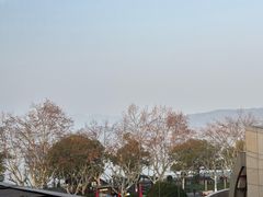 -杭州君悦酒店