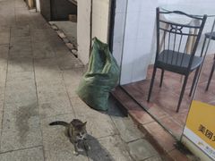 -五福堂龟苓膏(河东北山店)