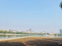 -莲花池公园