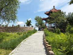 -白水寺森林公园