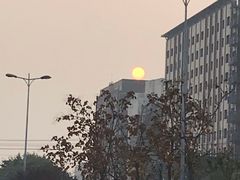 -四川大学(江安校区)