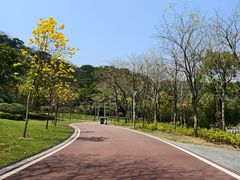 -飞凤山奥体公园