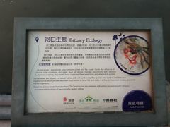 -南丫岛