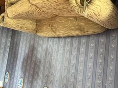 -金山农民画村-枫泾波兰倒置屋