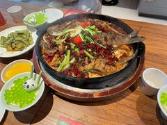 -老板恋上鱼(恒隆广场店)