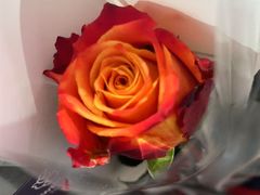 -香港深仔记茶餐厅(东门店)