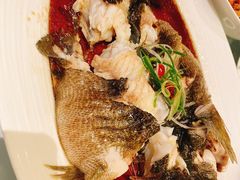 -洋洋中餐馆·SINCE 1997(信投店)