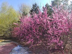 -长春公园(普阳街道)