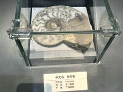 -天津自然博物馆