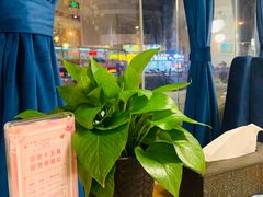 -花舍·新派粤菜·西餐·下午茶(亚运村·鸟巢店)