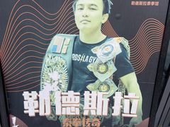 -花环泰拳·勒德斯拉泰拳馆(静安店)
