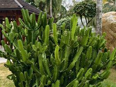 -惠州金海湾嘉华度假酒店