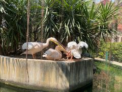 -灵玲国际马戏城