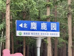 -日照海滨国家森林公园