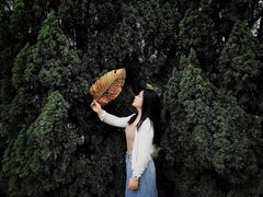-南沙蒲洲花园
