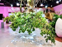 -精绝七日-新疆尼雅遗址数字大展【拉法耶文化艺术中心】