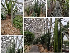 -上海辰山植物园